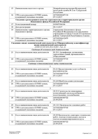 Выписка из ЕГРИП Выписка из ЕГРИП (стр.2) - фото