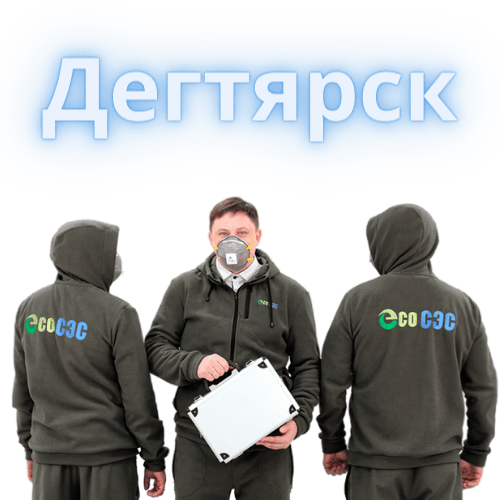 Команда ЭкоСЭС